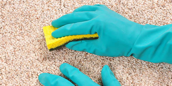 Hammersmith Carpet Cleaning | Rug Cleaning W6 Hammersmith