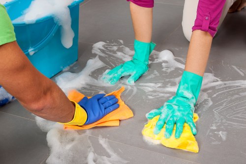 Professional cleaners providing home cleaning in Hammersmith