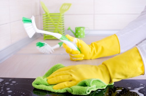 Professional cleaners in Hammersmith servicing a modern home