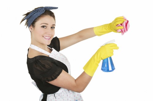 Local carpet cleaning service in Hammersmith for residential and commercial spaces